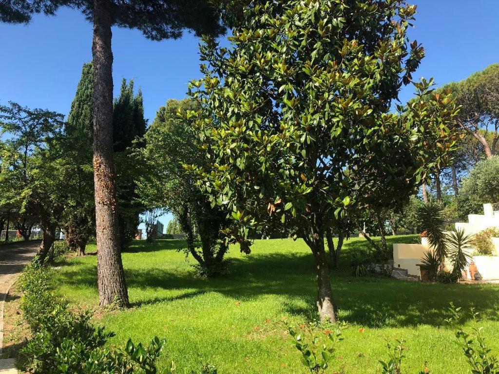 Residenza Verdemare Misano Adriatico Extérieur photo